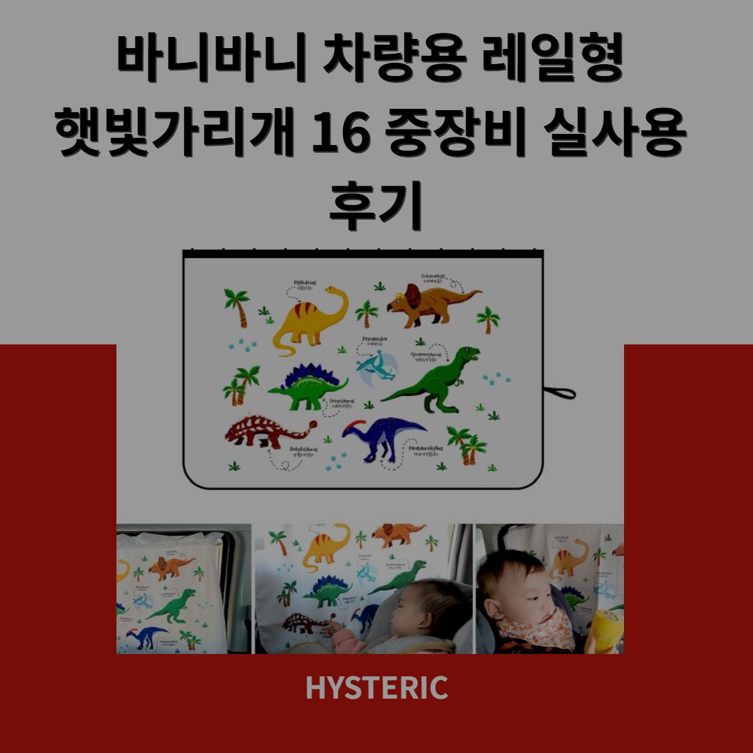 바니바니 차량용 레일형 햇빛가리개 설치 모습